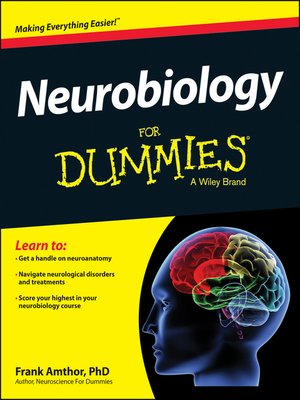 cover image of Neurobiology For Dummies